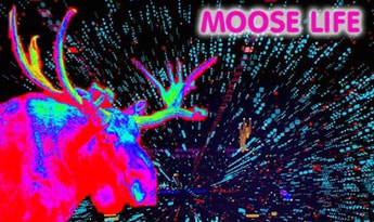 Moose Life EN Global Steam