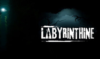 Labyrinthine EN/DE/FR/NL EU Steam