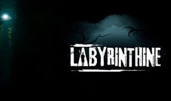 Labyrinthine EN/DE/FR/NL EU Steam