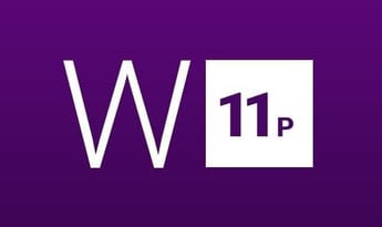 Windows 11 Professional EN Global MS Products