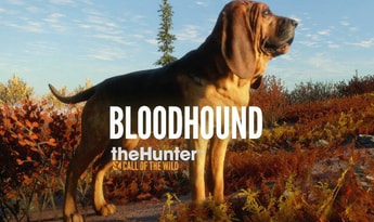 theHunter: Call of the Wild - Bloodhound DLC Global Steam