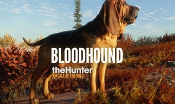 theHunter: Call of the Wild - Bloodhound DLC EN EU Xbox One Xbox Series