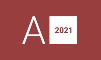 MS Access 2021 Global MS Products