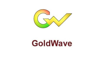 GoldWave 6 EN Global Software License