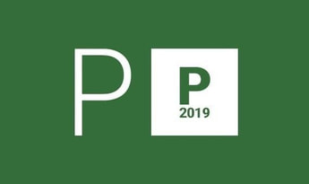 Project Professional 2019 for 2 PC EN Global MS Products