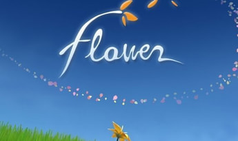 Flower Global Steam
