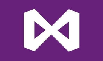 Visual Studio Professional 2022 EN Global MS Products