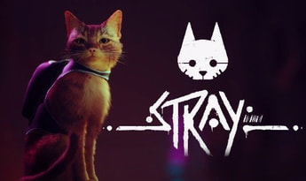 Stray Global Steam Gift