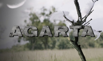 Agarta EN/TR Global Steam