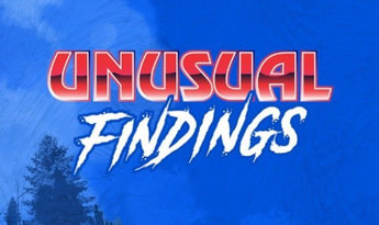 Unusual Findings Global Steam