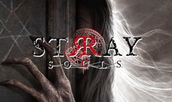 Stray Souls Global Steam