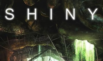 Shiny EN/DE/FR/IT/PT/RU/ES Global Steam
