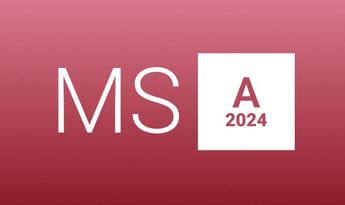 MS Access 2024 Global MS Products