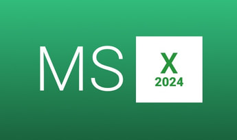 MS Excel 2024 Global MS Products
