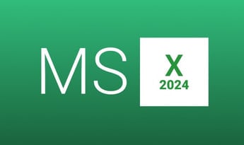 MS Excel 2024 Global MS Products