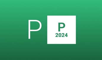 Project Professional 2024 EN Global MS Products