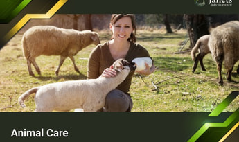 Animal Care - Janets Course  Global Official website
