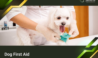 Dog First Aid - Janets Course  Global Official website