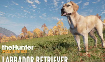 theHunter: Call of the Wild - Labrador Retriever DLC EN Global Steam