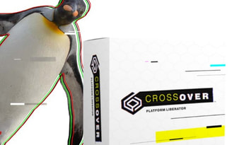 CrossOver MAC 1 Year 1 Dev EN Global Software License