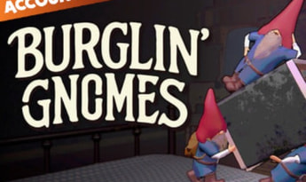 Burglin' Gnomes - Steam Account Global Steam