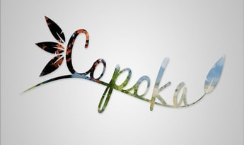 Copoka EN Global Steam