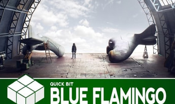 The Blue Flamingo EN/FR Global Steam