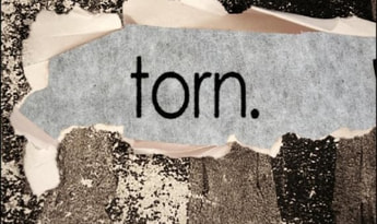 Torn EN/DE/FR/IT/JA/KO/ES Global Steam