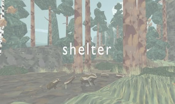 Shelter EN/DE/FR/IT/ES Global Steam