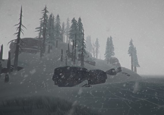 The Long Dark EN EU screenshot 3