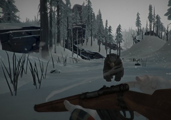 The Long Dark EN EU screenshot 4