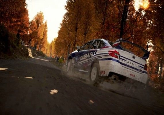DiRT 4 - Team Booster Pack DLC EN/DE/FR/IT/ES Global screenshot 3