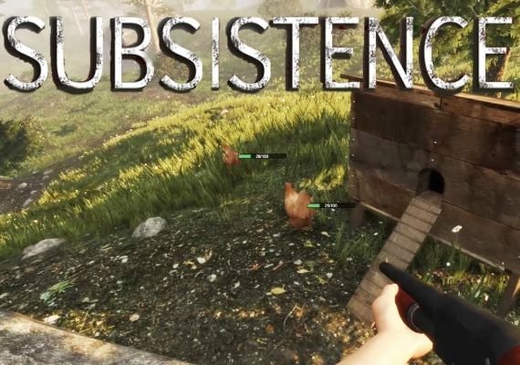 Subsistence Global