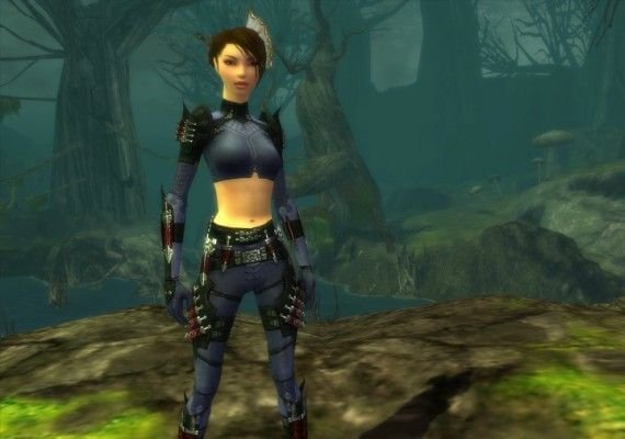 Guild Wars Factions EN EU screenshot 4
