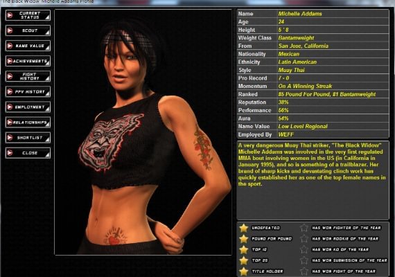 World of Mixed Martial Arts 3 EN Global screenshot 3
