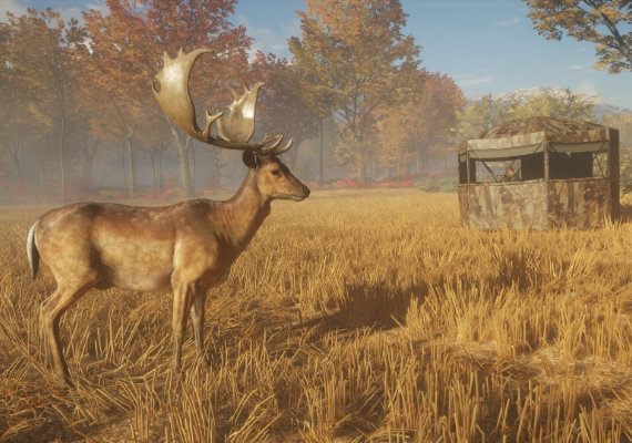 theHunter: Call of the Wild: Tents & Ground Blinds DLC Global screenshot 4
