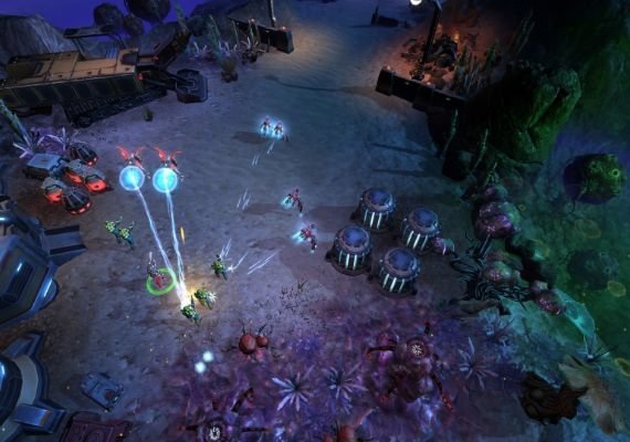 Tryst EN Global screenshot 2