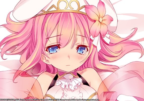 Record of Agarest War: Mariage EN/JA/ZH/ZH Global screenshot 4