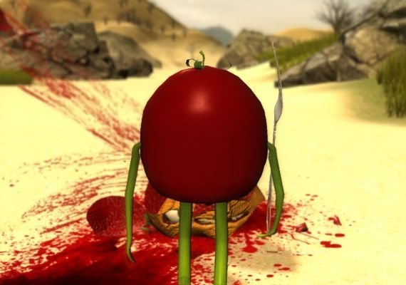 Tomato Way Global screenshot 3