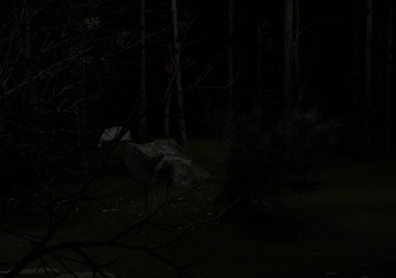 Blood Trail EN EU screenshot 2