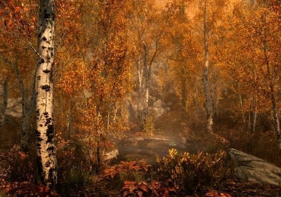 The Elder Scrolls V: Skyrim Special Edition EN United States screenshot 4