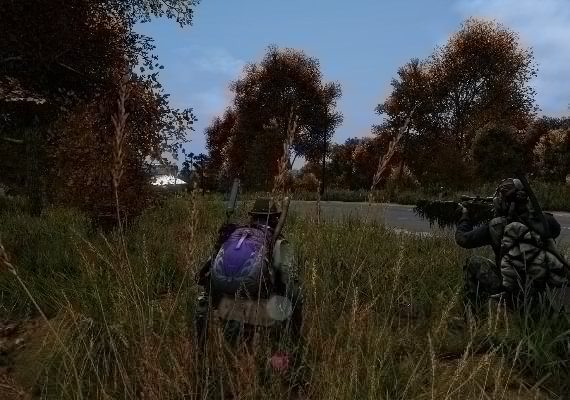 DayZ EN EU screenshot 2