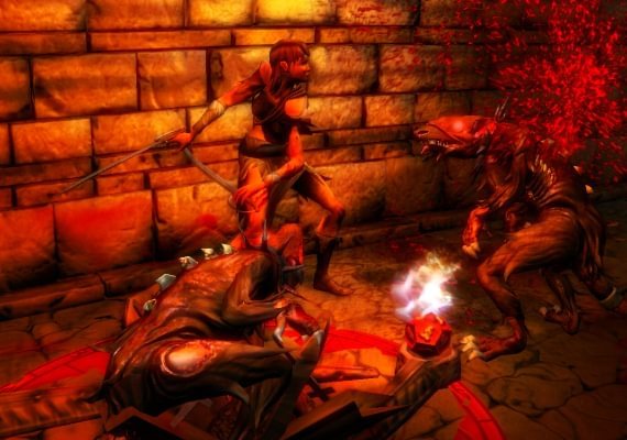 Dungeons Special Edition EN/DE/FR/PL Global screenshot 2