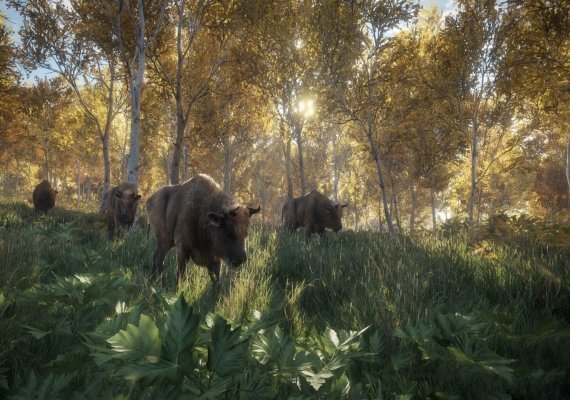 theHunter: Call of the Wild EN/DE/FR/PL/CS/PT/RU/ES Argentina screenshot 3