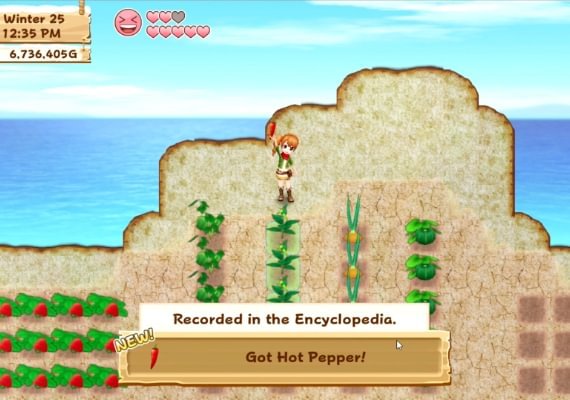 Harvest Moon: Light of Hope Special Edition EN Global screenshot 3