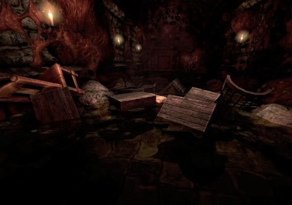 Amnesia: The Dark Descent EN/DE/FR/IT/PT/ES Global screenshot 4