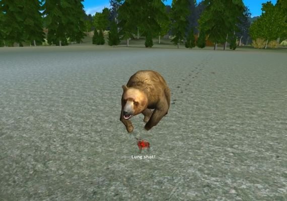 Hunting Unlimited 4 EN Global screenshot 4