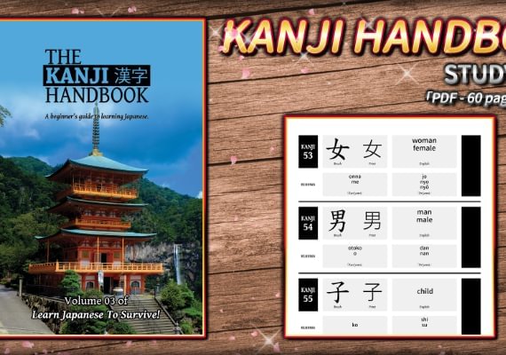 Learn Japanese To Survive! Kanji Combat - Study Guide DLC EN Global screenshot 4
