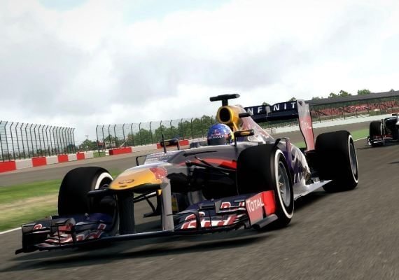 F1 2013 EU screenshot 2