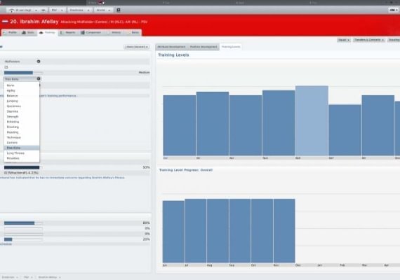 Football Manager 2011 EN EU screenshot 2
